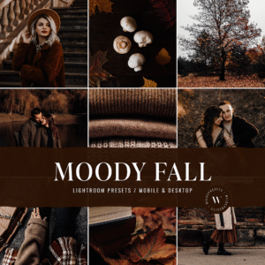 The Moody Fall Preset Collection