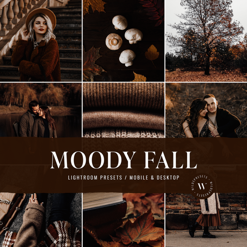 The Moody Fall Preset Collection